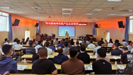 踐行一線工作法 質量月培訓活動走進茶山，精準服務賦能企業發展